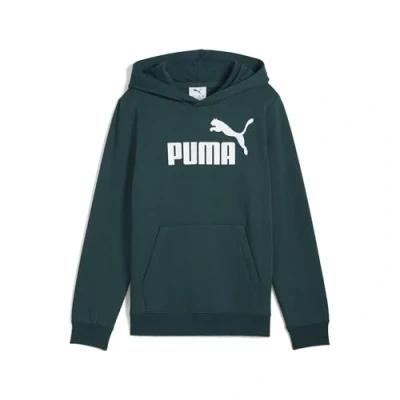 Image de Hoodie en molleton avec logo NÂÂ 1 ESS Enfant et Adolescent