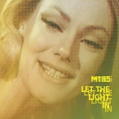 Afbeelding van Let The Light In (CD)
