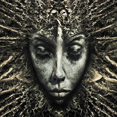 Afbeelding van Klone Black Days (2 LPs)
