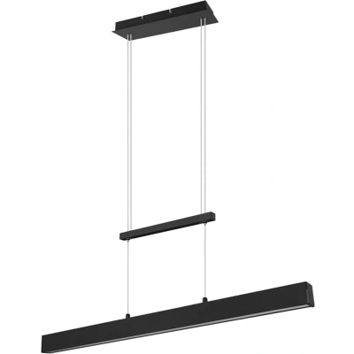Afbeelding van REALITY PAROS Hanglamp Zwart mat incl. 1x SMD 22W