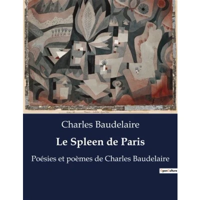 Image de Le Spleen de Paris