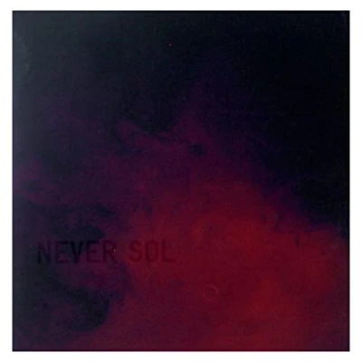 Afbeelding van Never Sol Under Quiet (2 LPs)