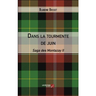 Image de Dans la tourmente de juin