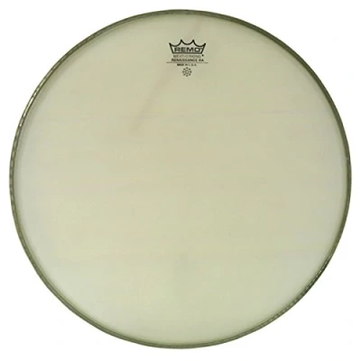 Afbeelding van Ambasador Renaissance 12&quot;, Tom Batter/Reso
