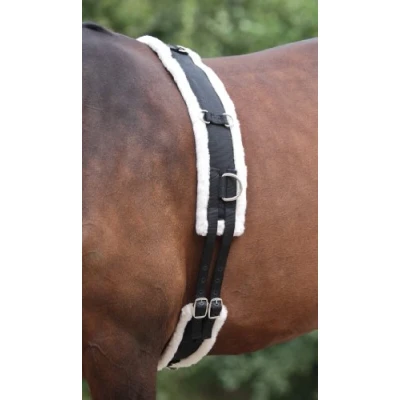Afbeelding van Shires Nylon Longeersingel met Fleece Voering Black Pony
