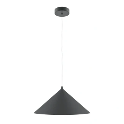 Afbeelding van Maytoni Hanglamp Basic colors Zwart Ø35