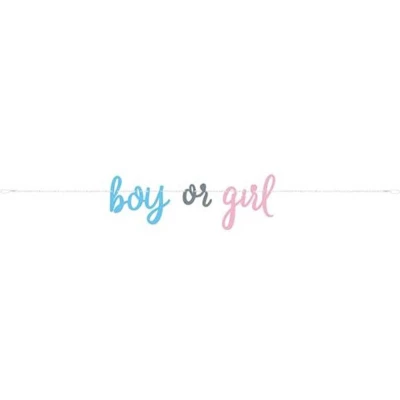 Afbeelding van Letter Slinger Gender Reveal Balloons 213cm