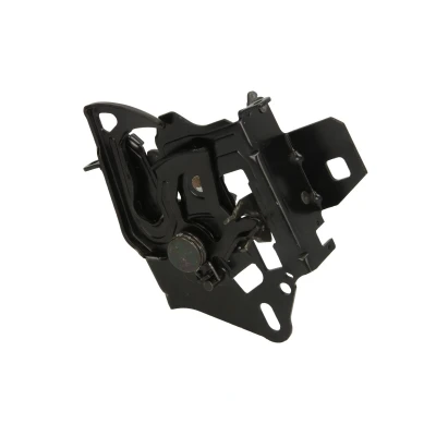 Afbeelding van Blic Motorkapslot 3011 01 020210P