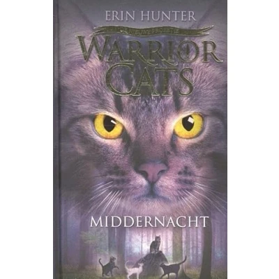 Afbeelding van Middernacht