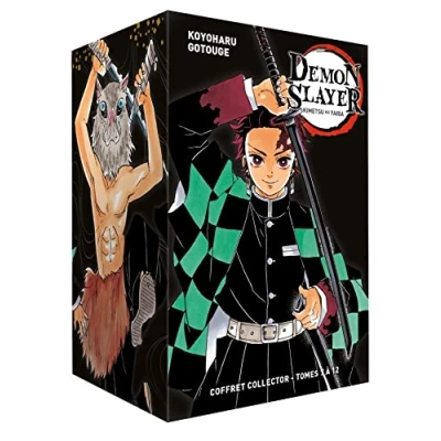 Afbeelding van DEMON SLAYER,07 12 (COFFRET)