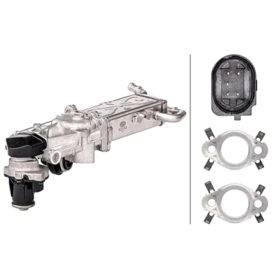Afbeelding van HELLA 6NU 358 167 021 AGR modul Met pakkingen, koeler klep voor recirculatie van de uitlaatgassen VOLKSWAGEN: Polo V Hatchback