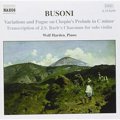 Afbeelding van Wolf Harden Piano Music 2 (CD)