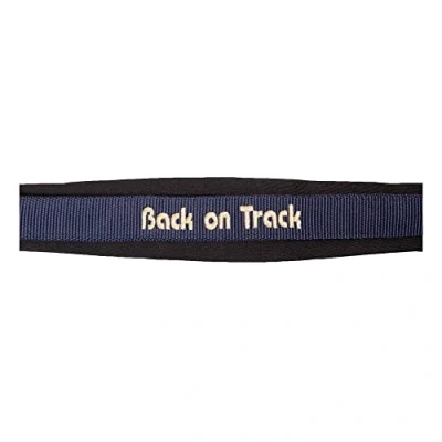Image de Back on Track Licol Werano Bleu Poney
