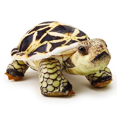 Afbeelding van Zappi Co Knuffelig zacht pluche dier voor kinderen, perfecte zachte speelmetgezel kinderen in bedrukte stijl (26 cm lang) (Indiase sterschildpad)