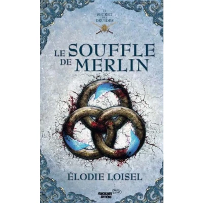 Image de Le secret des Druides, tome 3