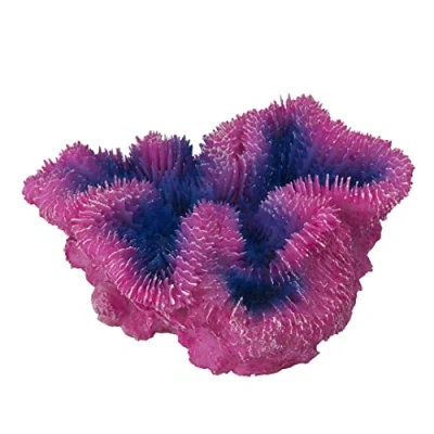 Afbeelding van Aqua Della Aquariumdecoratie Vissen Coraal Symphylia 12x5x12cm Paars 1st