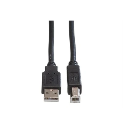 Image de Roline Câble USB (M) pour type B 2.0 1.8 m