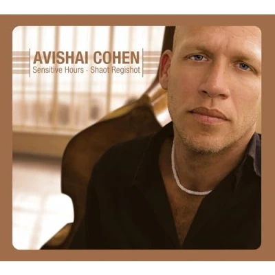 Afbeelding van Avishai Cohen Sensitive Hours Shaot Regishot (CD)