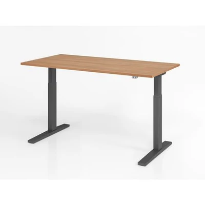 Afbeelding van Bureau In Hoogte Verstelbaar Meerkleurig Xmka 16 G 160x80