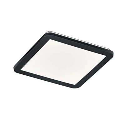 Afbeelding van Reality Camillus Plafondlamp 30 x cm