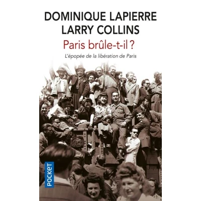 Image de Paris brûle t il ?
