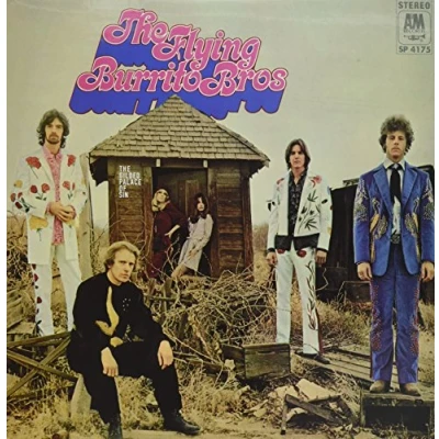 Afbeelding van Flying Burrito Brothers The Gilded Palace Of Sin (LP)