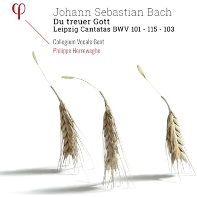 Afbeelding van Collegium Vocale Gent, Philippe Herreweghe Du Treuer Gott Leipzig Cantatas Bwv 101 103 (CD)
