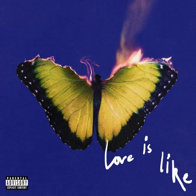 Afbeelding van Maroon 5 Love is Like (LP)