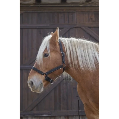 Afbeelding van Norton Halster Pro Zwart Trekpaard
