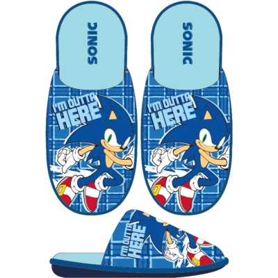 Afbeelding van Sonic the Hedgehog Pantoffels Sloffen