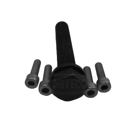 Afbeelding van CORTECO 80004865 Set schroeven voor riemschijf nokkenas BMW: 5 Saloon, 3 Touring