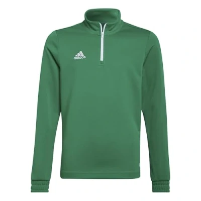 Afbeelding van adidas Performance Entrada Sweater voor kinderen, Maat: 164, Teagrn white