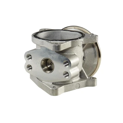 Afbeelding van Hella EGR klep 6NU 010 171 301