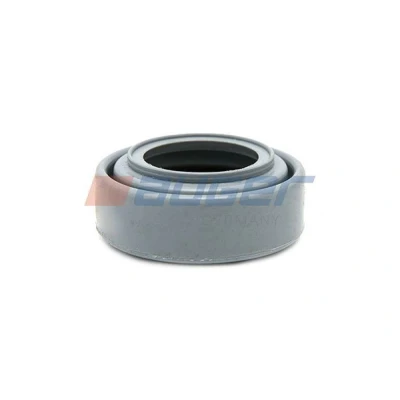 Afbeelding van Auger Ashoes, remklauwgeleiding 55369