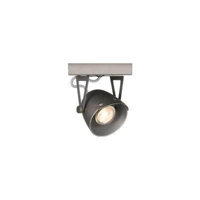 Afbeelding van LED spot cap 1 lichts grijs