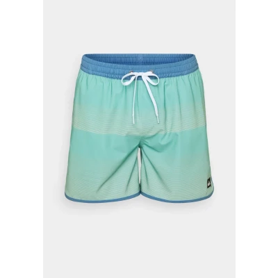 Afbeelding van Quiksilver SURF Scallop Volley Zwemshorts, Heren, Maat: XL, Aquifer tijuana