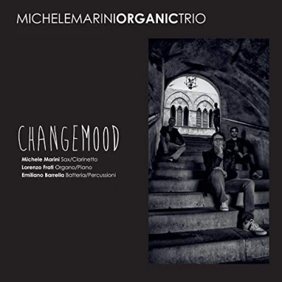 Afbeelding van Michele Marini Organic Trio Changemood (CD)