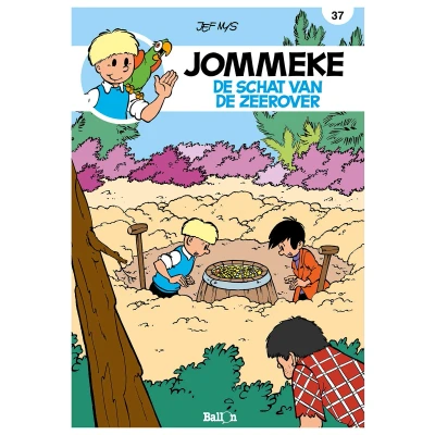 Afbeelding van de schat van zeerover