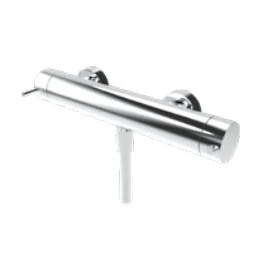 Afbeelding van Waterevolution Flow douchethermostaat met douchegarnituur chroom T140TN01