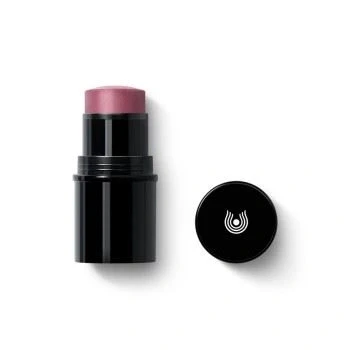 Afbeelding van Dr. Hauschka Lip To Cheek 03 Rosewood 6.gr Blush 1stuks