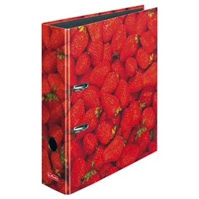 Afbeelding van Herlitz 10485126 Casseur A4 S80 (vers)