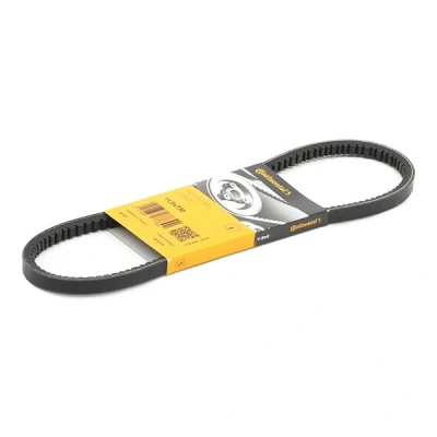 Afbeelding van V riem CONTINENTAL CTAM 11,5X730Ld