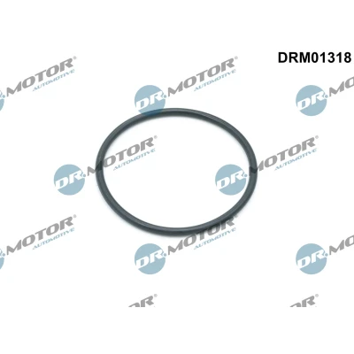 Afbeelding van DR.MOTOR AUTOMOTIVE DRM01318 Pakkingen