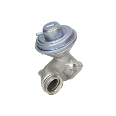 Afbeelding van Valeo EGR klep 700407
