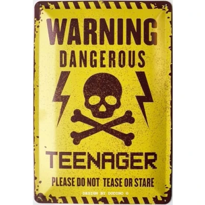 Afbeelding van DODINO Retro metalen deurbordje 20 x 30 cm met Duits opschrift &quot;Warning Dangerous Teenager&quot; voor jongens en meisjes tieners Cadeau idee Verjaardagsdeurdecoratie