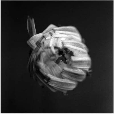 Afbeelding van A Swarm Of The Sun An Empire (2 LP)