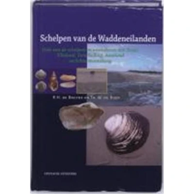 Afbeelding van Schelpen van de waddeneilanden