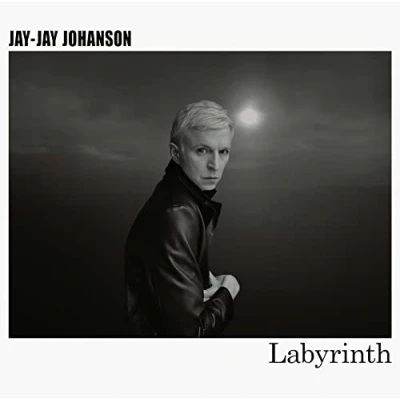 Afbeelding van Jay Johanson Labyrinth (LP)