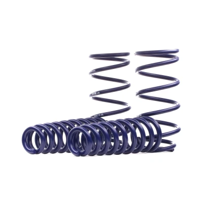 Afbeelding van H&amp;R 29089 1 Chassis, veren Vooras, Achteras