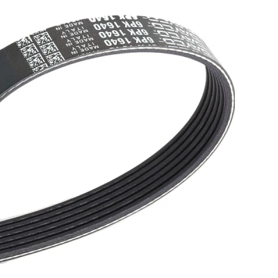 Afbeelding van Poly V riem DAYCO 6PK1640